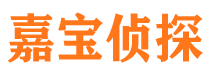 延川侦探